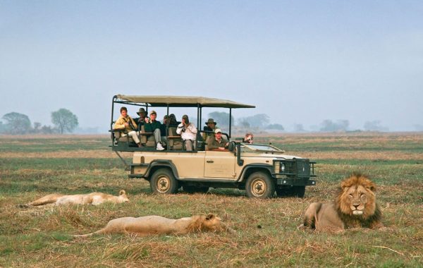 Safari-Game-Drive-Wildlife-Documentaries-from-Africa-African-Travel-Canvas-1080x675