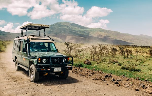 ashim-d-silva-h8b1T39sm2w-unsplash