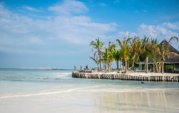 pexels-ákos-helgert-8804770