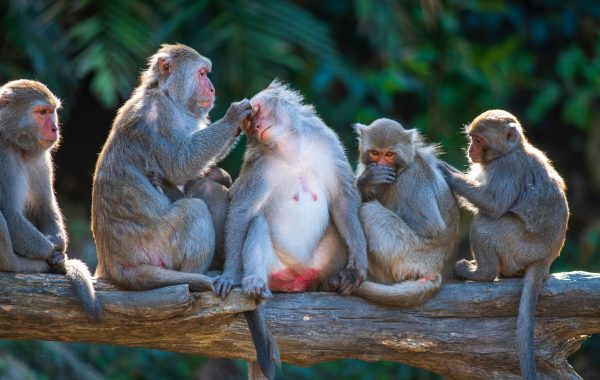 pexels-klub-boks-6828694